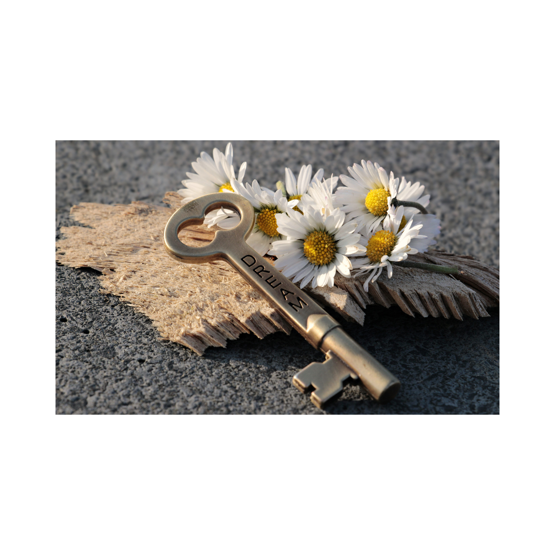 Design sans titre 13