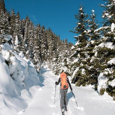 Photos gratuites de exterieur a distance a feuilles persid7gawq